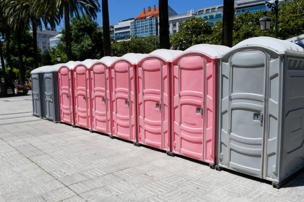 Best Standard Portable Toilet Rental in Remerton, GA